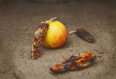 Print of Still Life Photography by fernand Reiter