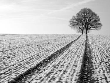 Original Fine Art Landscape Photography by fernand Reiter