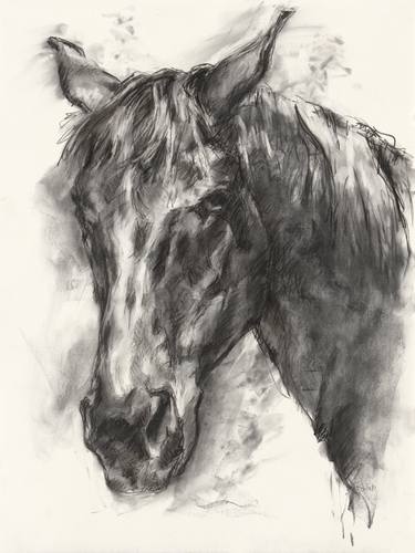 Original Expressionism Horse Drawings by Robyn Drake