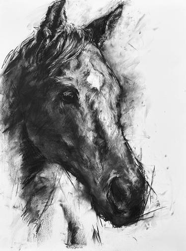 Print of Expressionism Horse Drawings by Robyn Drake