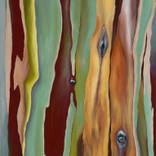 Collection Spring Fling