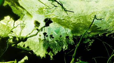 Original Abstract Nature Photography by Eru Narayana