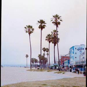Venice I