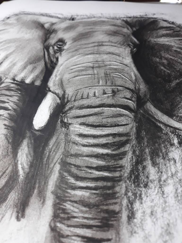 Original Realism Animal Drawing by Muklis Mustofa