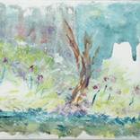 Collection watercolors