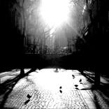 Collection Black & White