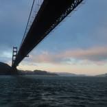 Collection San Francisco