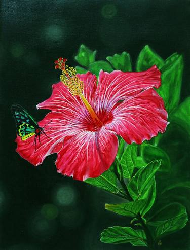 Hibiscus flower and butterflie thumb