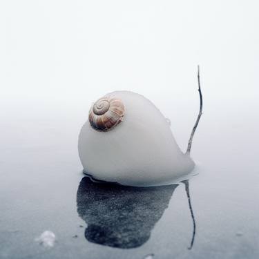 Original Conceptual Nature Photography by Rike Damel