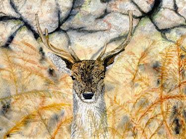 Original Animal Paintings by Bill Livingston