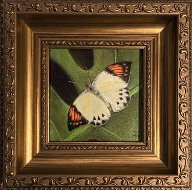 “Butterfly in Nature” small oil painting ЯR thumb