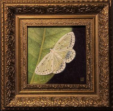 "Butterfly in Nature" small oil painting ЯR thumb