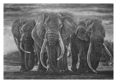 Graceful Giants: Majestic Pencil Portrayal of Three Elephants thumb
