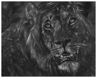 Print of Animal Drawings by GW Arts Godswill Obinna