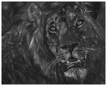 Original Animal Drawings by GW Arts Godswill Obinna