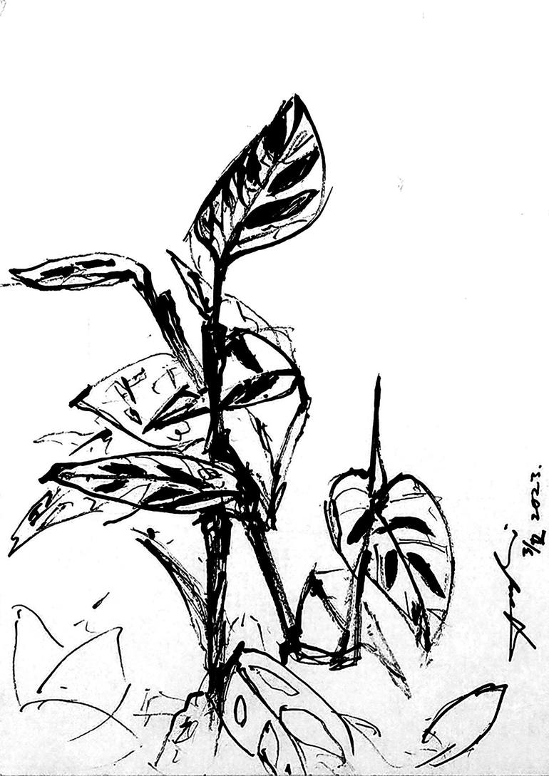 philodendron heart Buy Philodendron Brasil main image 1