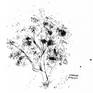 view additional image 1