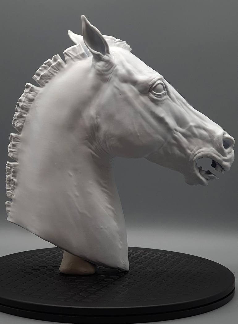Horse - Head - Print