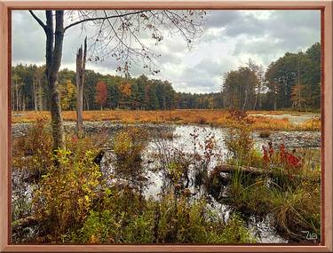 Print of Realism Landscape Photography by Zia Zade