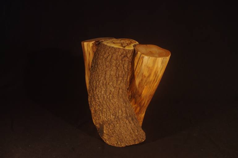 Original Abstract Botanic Sculpture by Maryn Gael