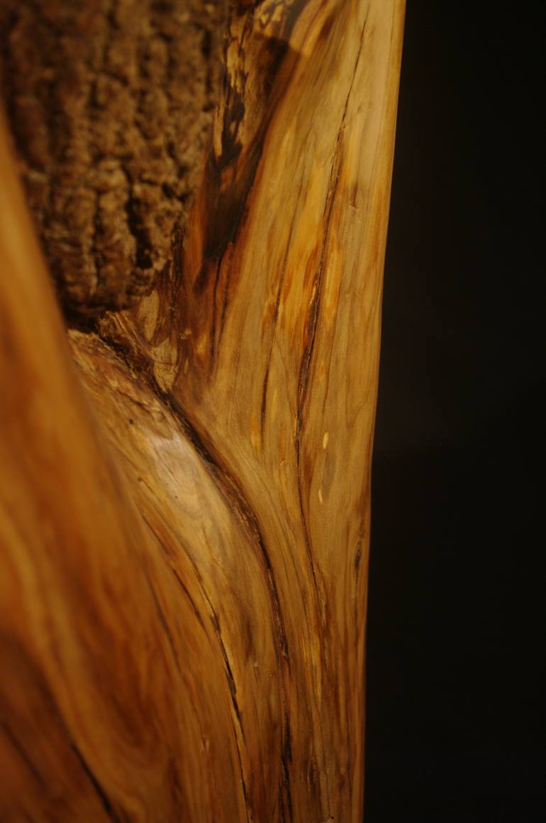 Original Abstract Botanic Sculpture by Maryn Gael