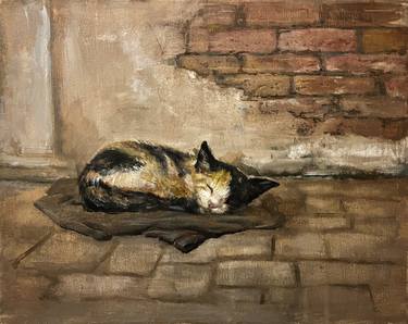 Back Streets Of The Old City. Sleeping Kitten. thumb