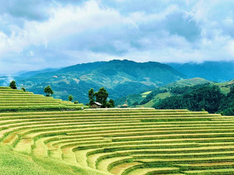 Mu Cang Chai Photography by My Hanh Bui | Saatchi Art