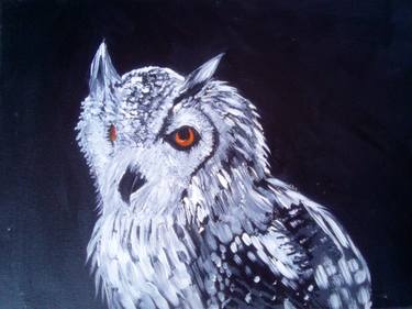 Owl in dark night thumb