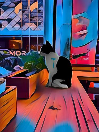 Print of Abstract Cats Photography by Webe ArttoU