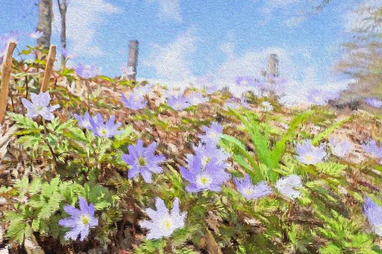 Kikuzakiichige blooms in Hakuba oil paint #01 - Print