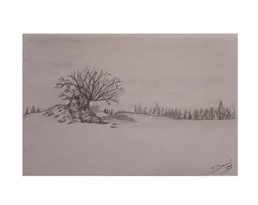 Original Landscape Drawings by Dani Pous