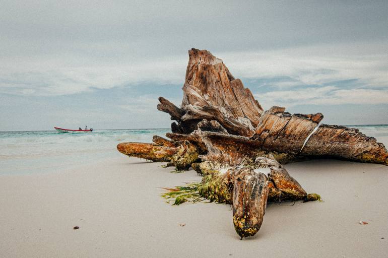 Original  Photography by boris kuznets