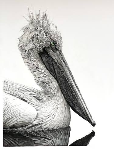 Original Fine Art Animal Drawings by Endangered Inks