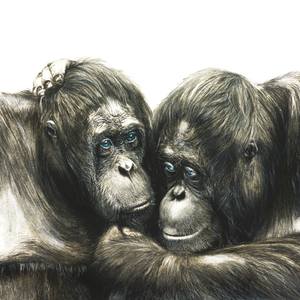 Endangered Inks Embrace of the Wild