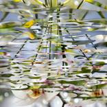 Collection Vestiges Collection