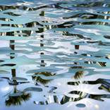 Collection Vestiges Collection