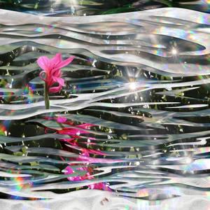 Collection Vestiges Collection