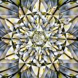 Collection Transcendence Collection