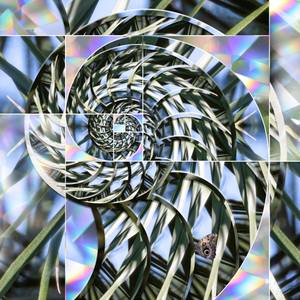 Collection Transcendence Collection