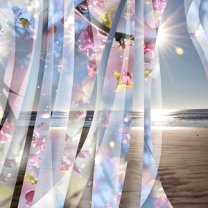 Collection Artifacts Collection