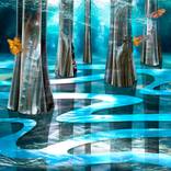 Collection Lumen Collection