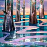 Collection Lumen Collection