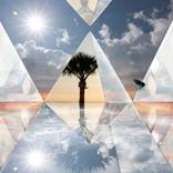 Collection The Other Side Collection