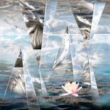 Collection The Other Side Collection