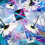 Collection Endless Collection