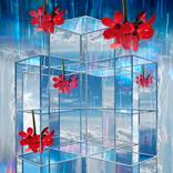 Collection Endless Collection