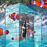 Collection Endless Collection