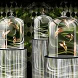 We Shelter in Glass by Leslie Kell