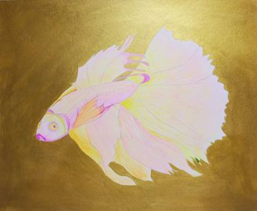 Original Realism Fish Paintings by Elle Moon