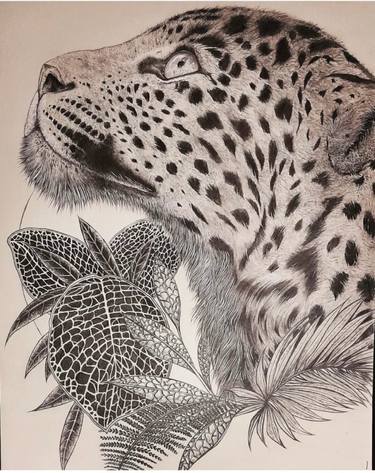 Print of Illustration Animal Drawings by Dennis Sugandharaj